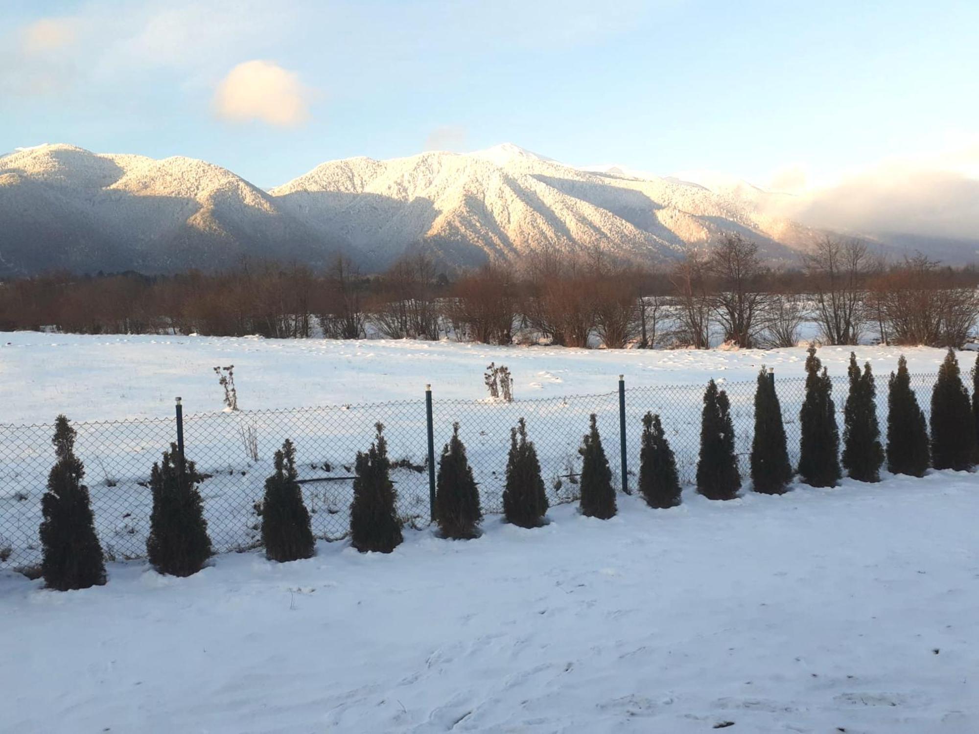 Villa Raphael Near The Pirin Golf Resort Bansko Buitenkant foto